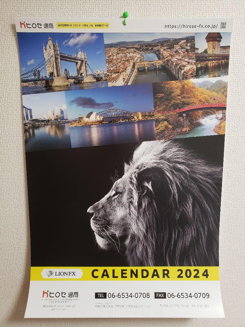 Amazon.co.jp: 2024年 ヒロセ通商 カレンダー 壁掛け LION FX 管理.BK