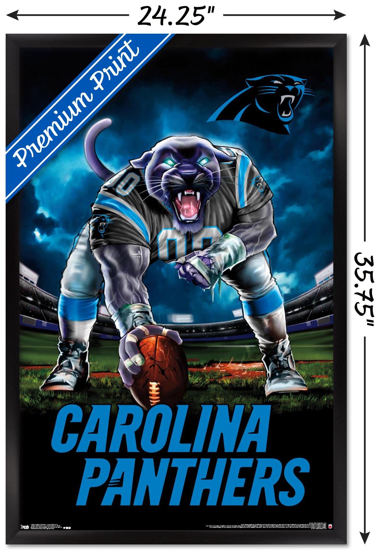 Amazon.co.jp: Trends International NFL カロライナ・パンサーズ - 3