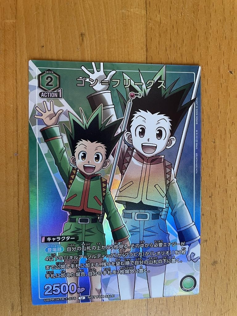 Amazon.co.jp: ハンターハンター HUNTER HUNTER ゴン フリークス