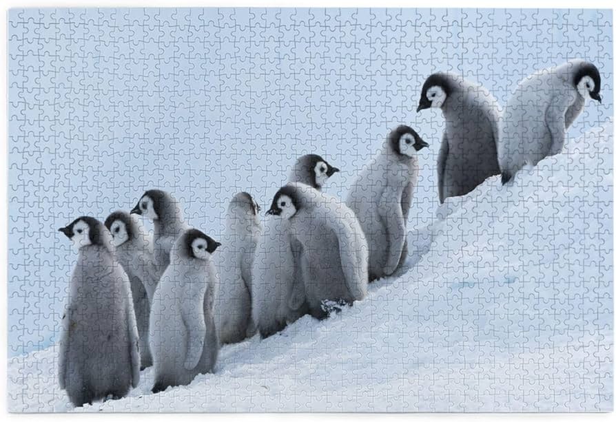 吉田遠志 ゼントウペンギン 1000ピース ジクソーパズル 吉田遠志 ゼン