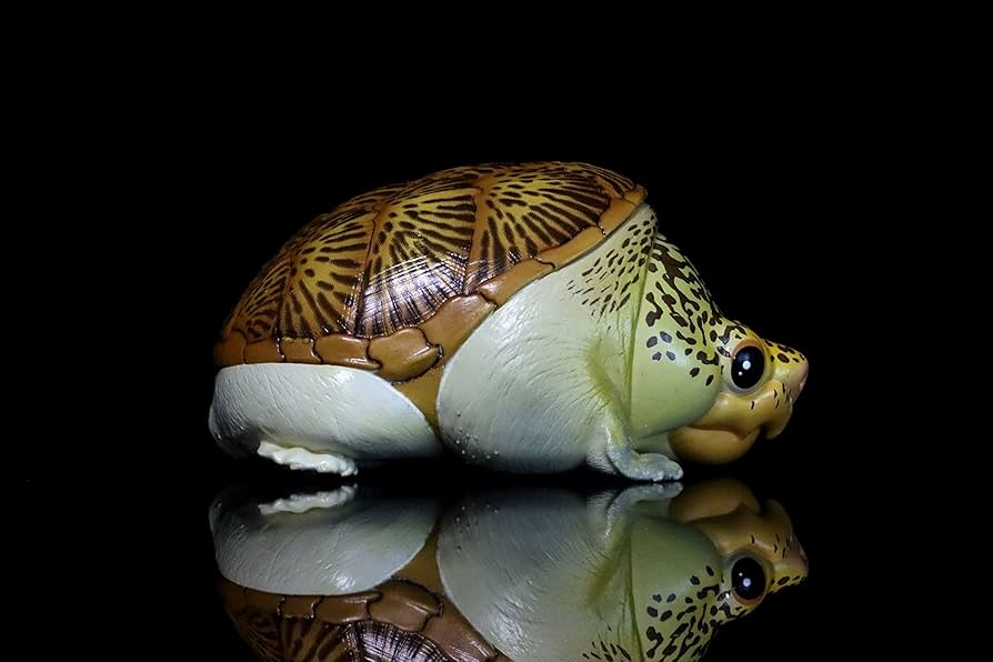 Amazon | 動物惑星 ガチャガチャ ブラインド ボックス カメ 全8種