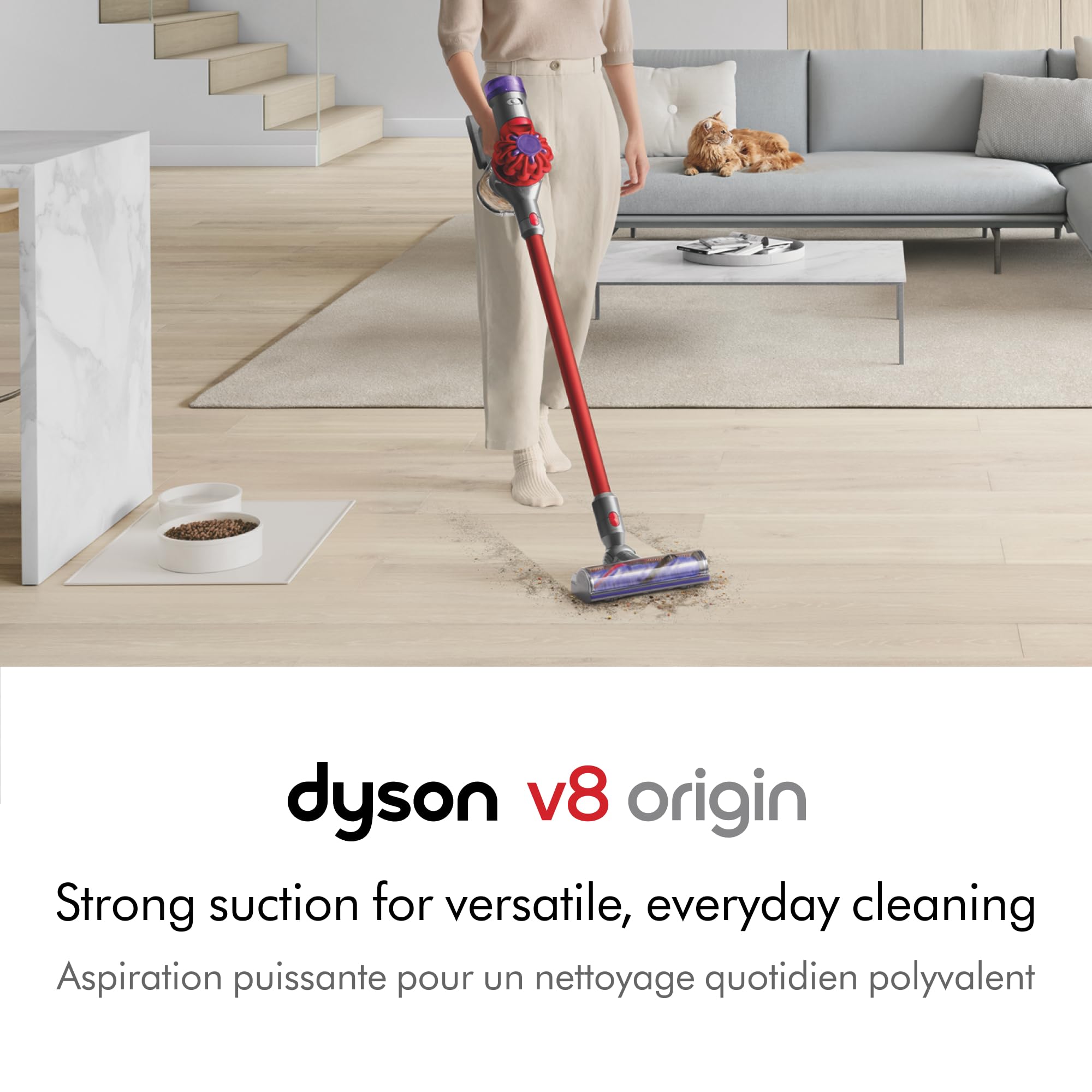 Amazon.com - Dyson V8 Origin Vacuum (Renewed)