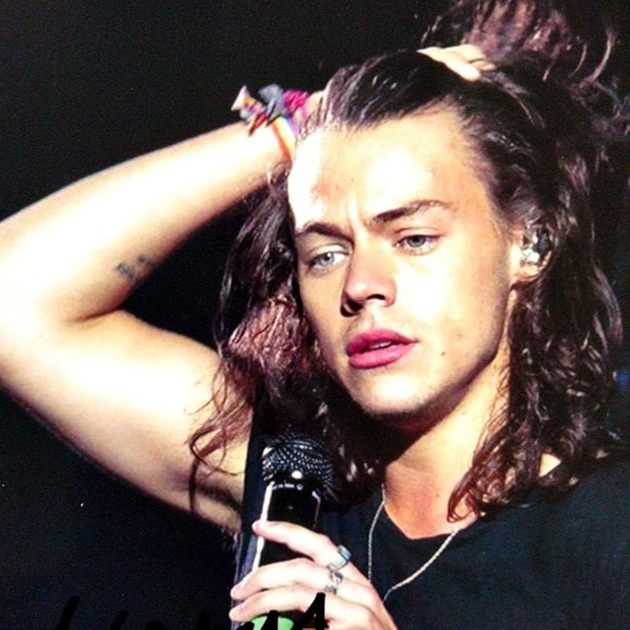 Amazon.co.jp: ハリースタイルズ直筆サイン入り2Lサイズ写真…ワン