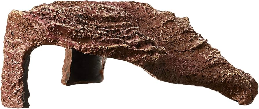 Amazon | GEX ジェックス カメの島 M-1 | GEX | フード 通販