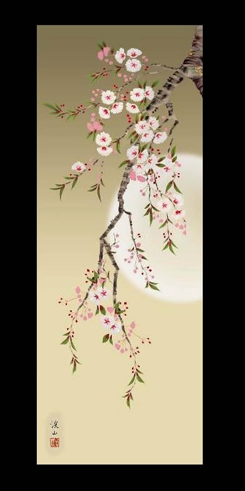 掛軸 秋峰 夜桜 共箱 春 月 満月 花 桜 5-14 掛軸 秋峰 夜桜 共箱 春