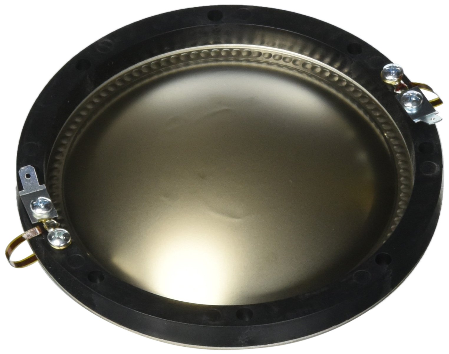 Amazon.com: Peavey 44XT : Musical Instruments