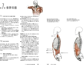ゴットフリード・バメスの美術解剖学 コンプリート・ガイド | ゴット