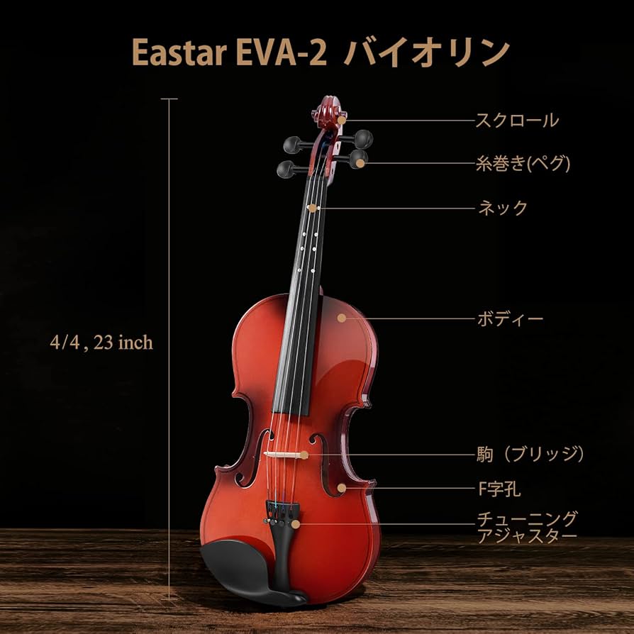 Amazon | Eastar バイオリン 初心者 指板マーク スプルース材 初心者
