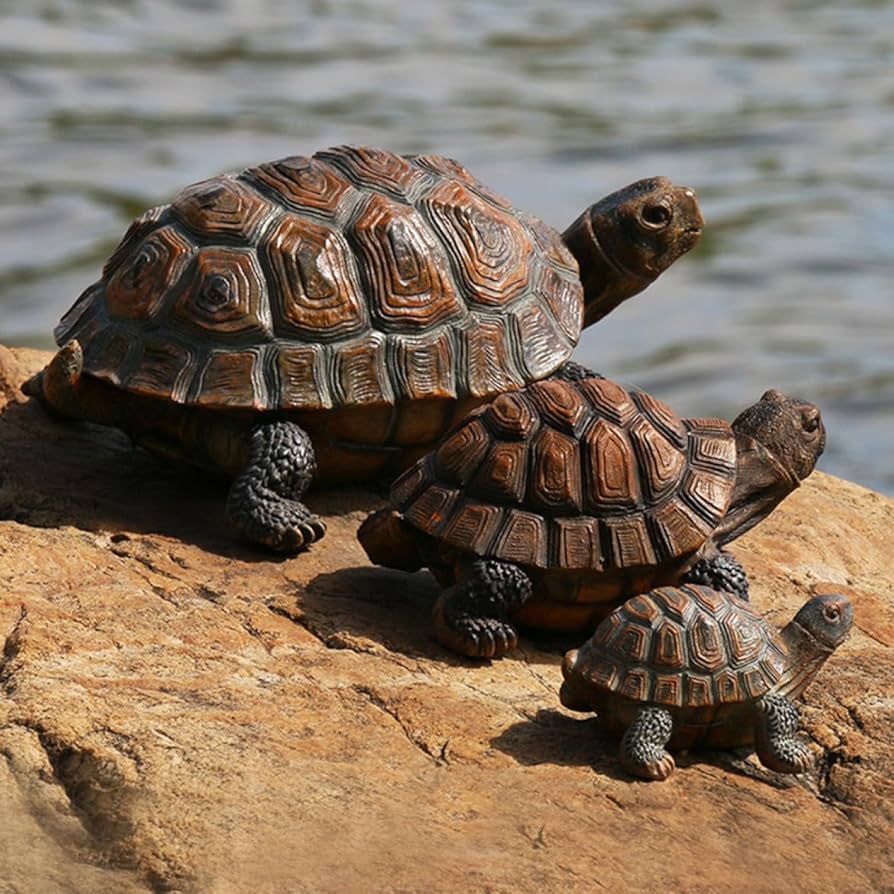 Amazon.co.jp: [dhiuebc] 海亀 置物 亀 縁起物 誕生日プレゼント