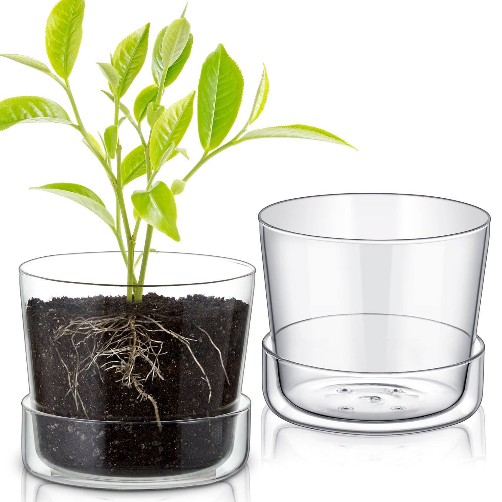 Amazon.co.jp: Singhoow 2セット 6インチ ガラスプランター 排水穴と