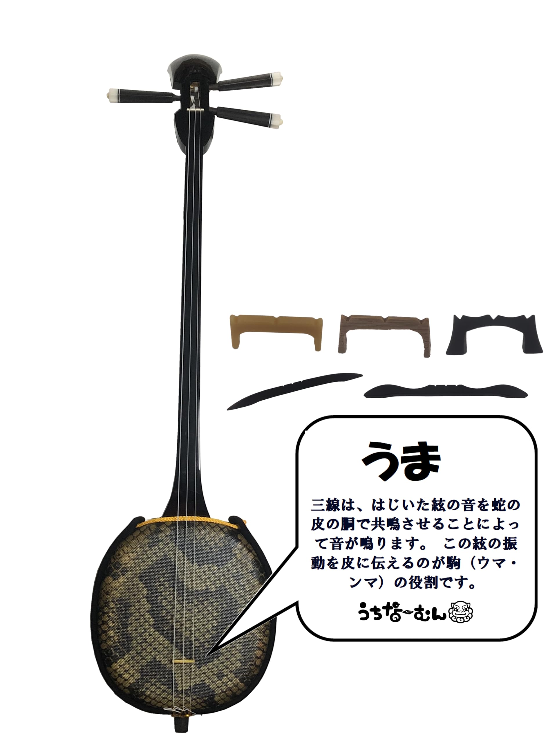 沖縄さんしん 本体とケース、ウマと爪のセット 沖縄さんしん 本体と