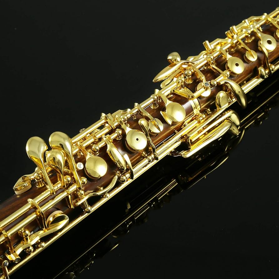 Amazon | Rochix Oboe プロフェッショナルパフォーマンスレベル RHG13