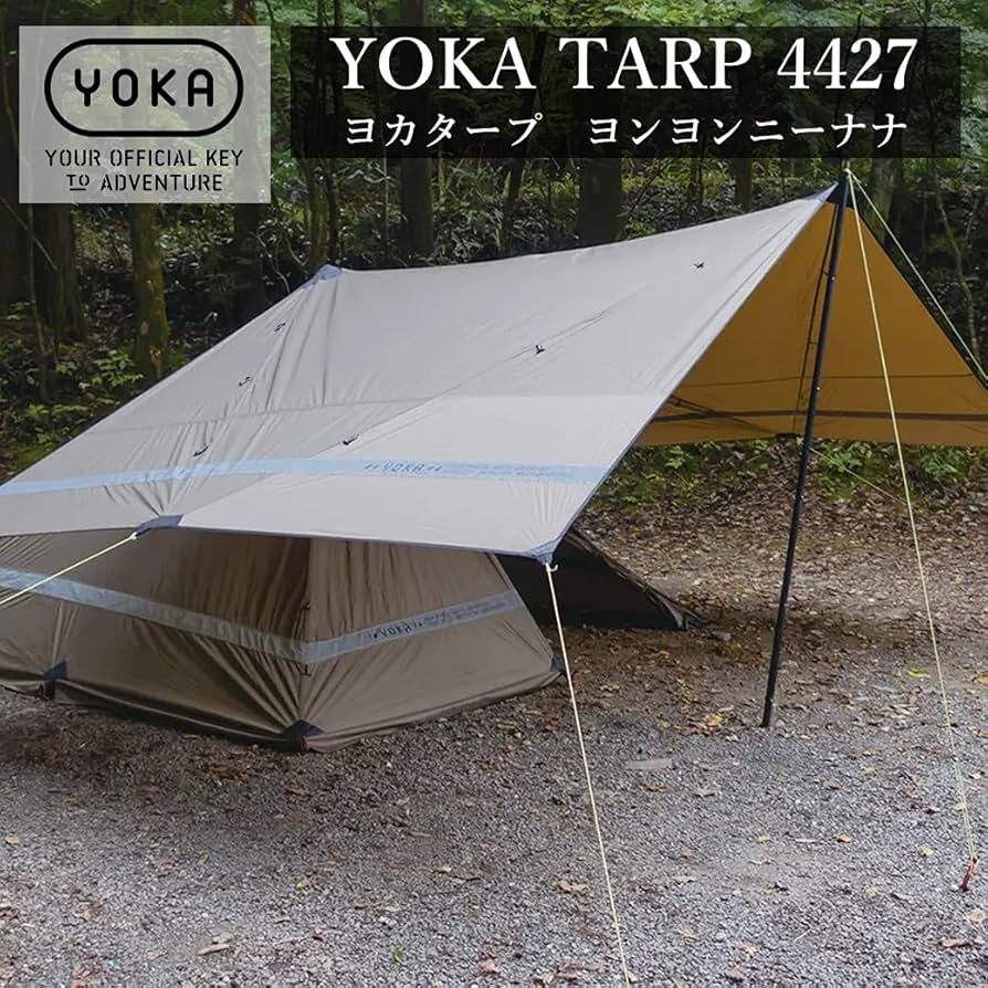 71SThieHi9S._AC_UF894,