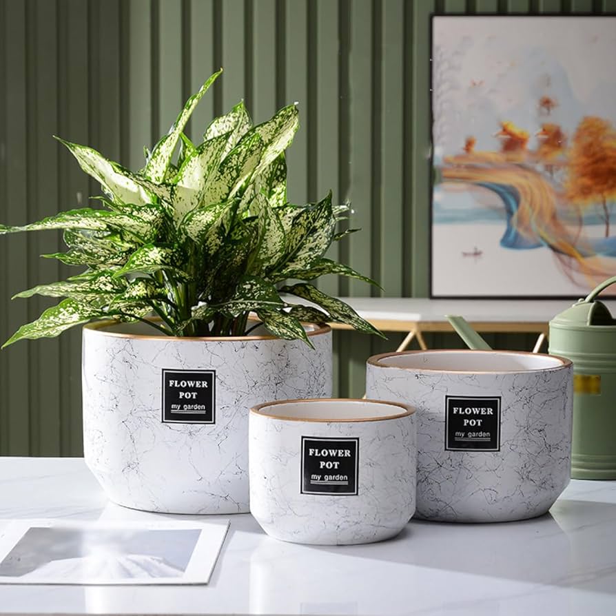 Amazon.co.jp: 大きい 植木鉢 陶器プランター M おしゃれ タイプ8