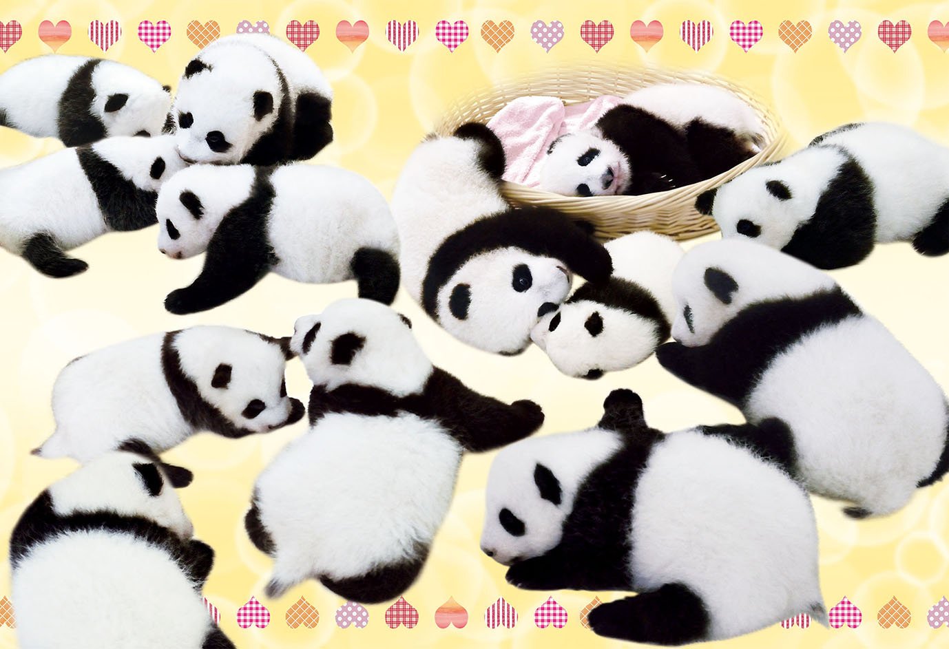 パンダの工房300 パンダの工房300