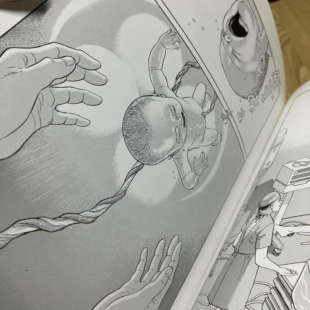 イカル 谷口ジロー 直筆イラストサイン本 原作メビウス 2026年最新