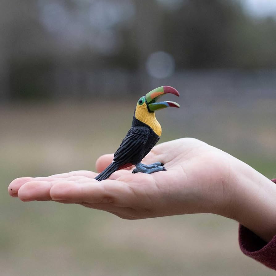 Amazon.com: Safari Ltd. Toucan Figurine - Lifelike 2.75