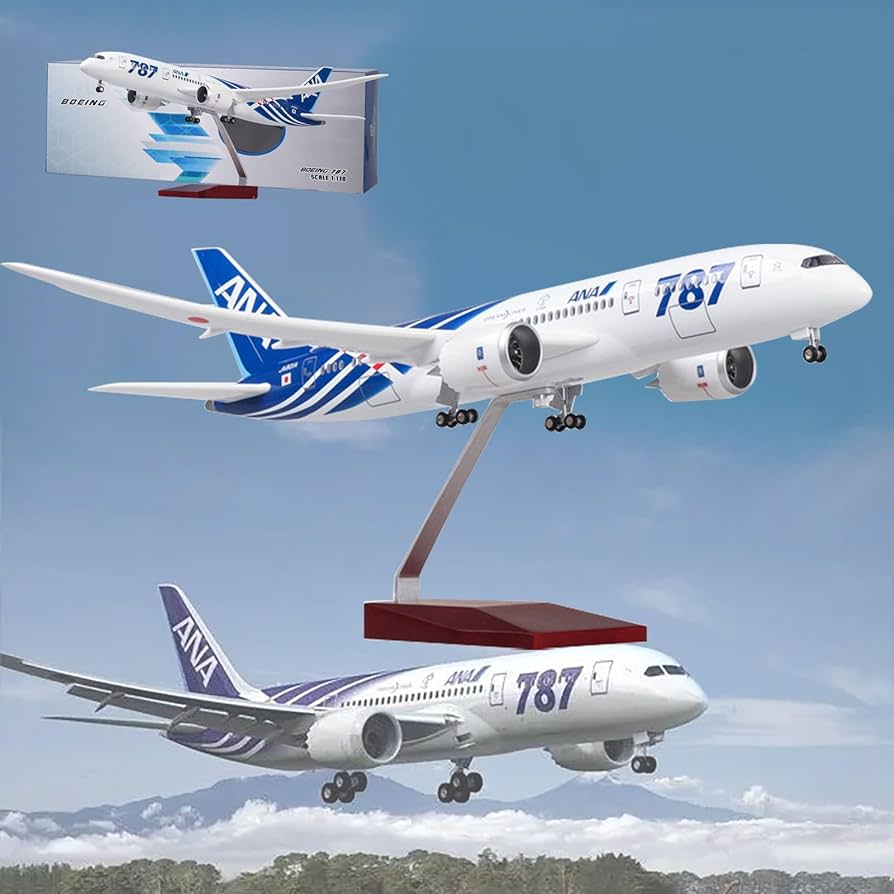 専用】ANA B787 ボーイング1:130スケール ジェット機 ディスプレイ