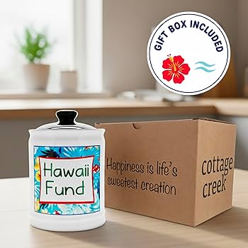 Amazon.com: Cottage Creek Jars | Hawaii Fund Travel Bank - Ceramic