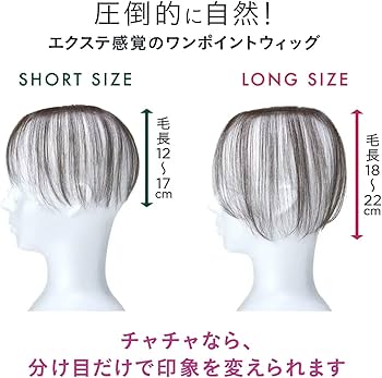 Amazon.co.jp: PESCA (ペスカ) ヘアメイト チャチャ 部分ウィッグ 白髪