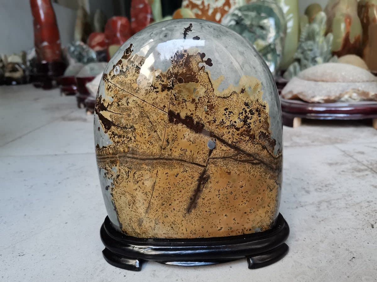 Amazon.co.jp: 草花石 自然石 天然石 超 置物 鑑賞石 飾り石 冬