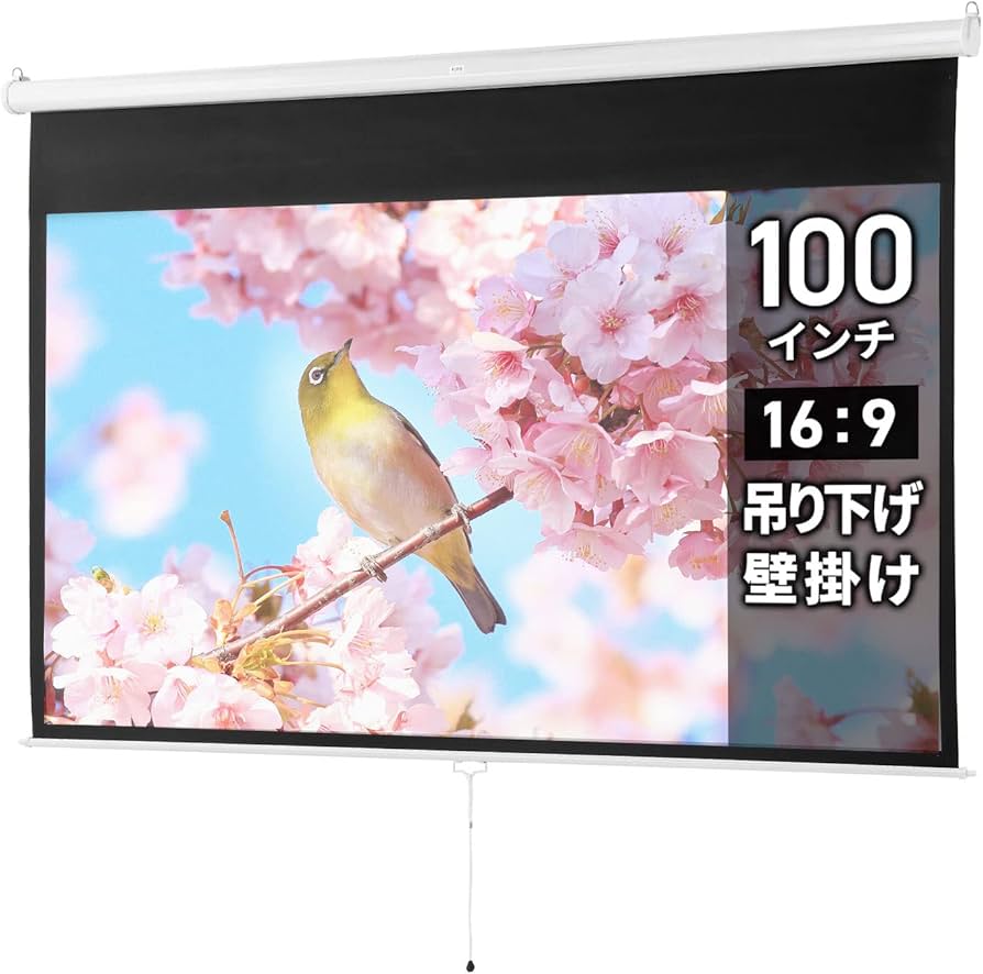 Amazon | イーサプライ プロジェクタースクリーン 100インチ ワイド 16