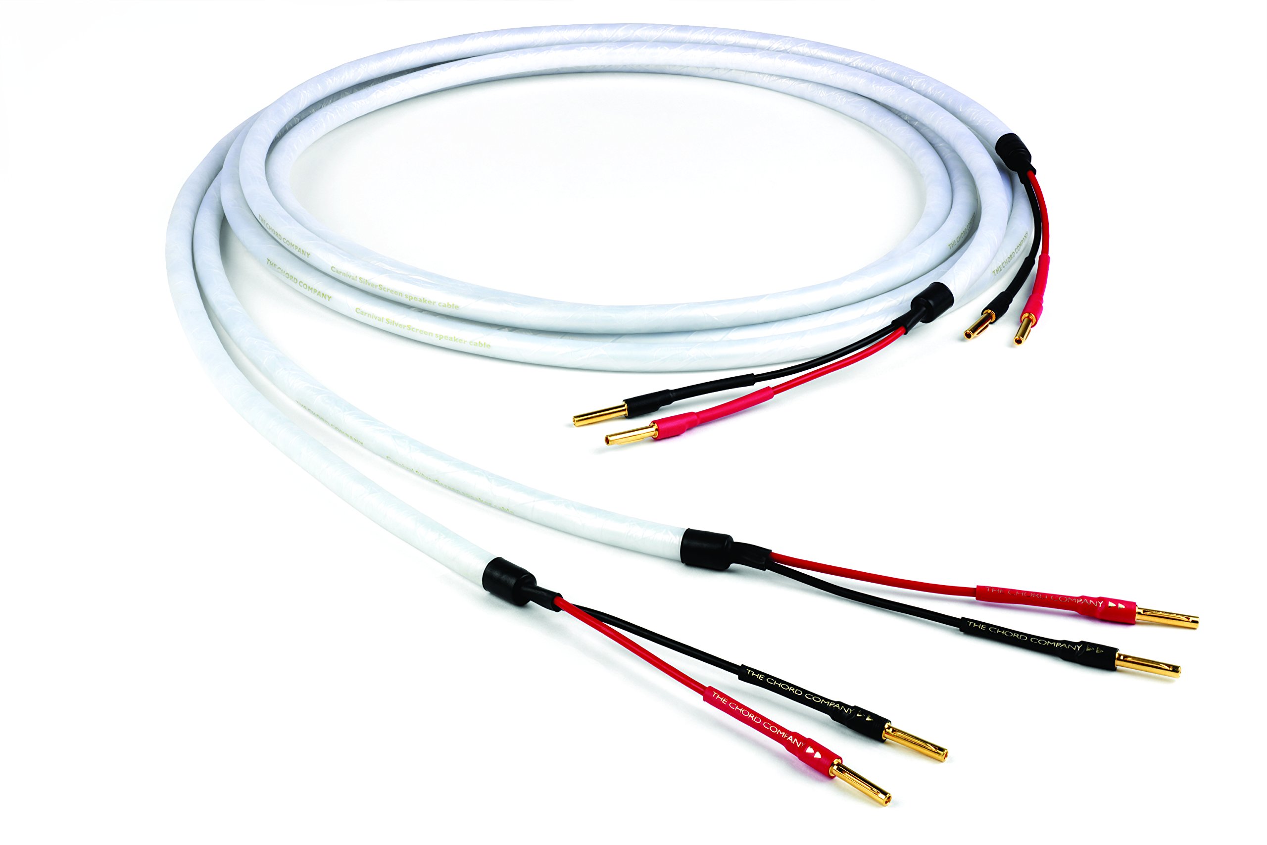 Amazon | Chord Carnival シルバースクリーン - ペアスピーカー