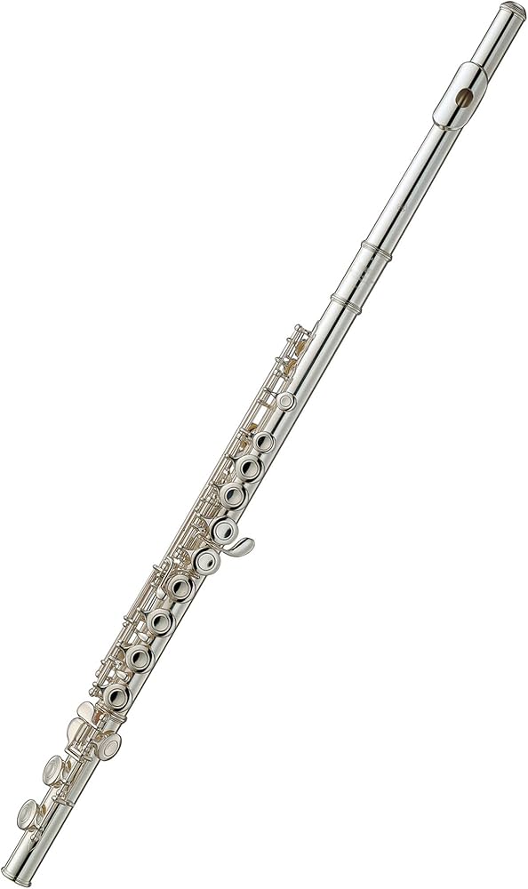 Amazon | YAMAHA フルート YFL-211 【初心者にも嬉しい入門・ケア