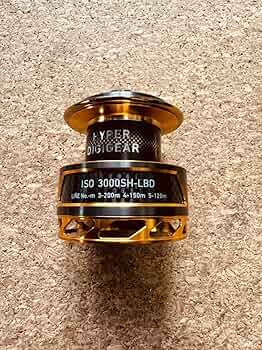 71WIOn33WyL._AC_UF350,