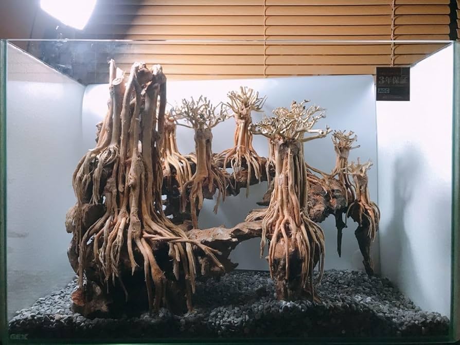 Amazon.co.jp: 【1～3日以内 発送】空洞型バニヤン盆栽流木ADA 流木