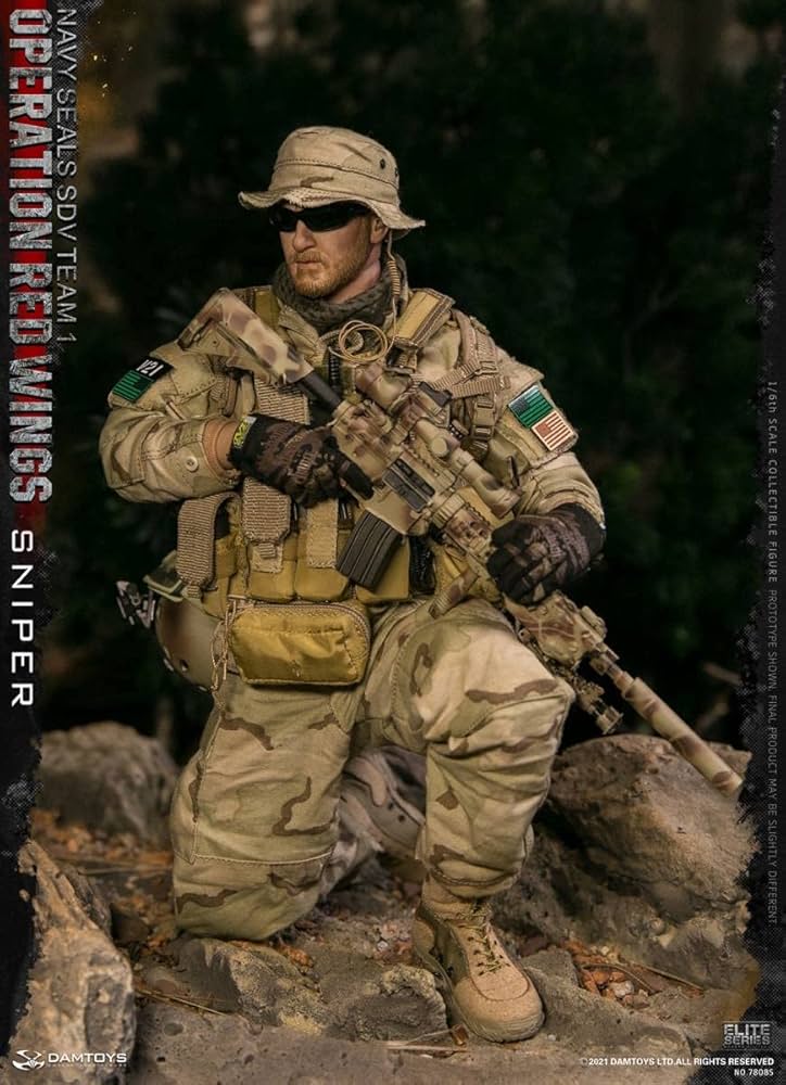Amazon | DAMTOYS 1/6 米海軍特殊部隊 ネイビーシールズ SDVチーム1