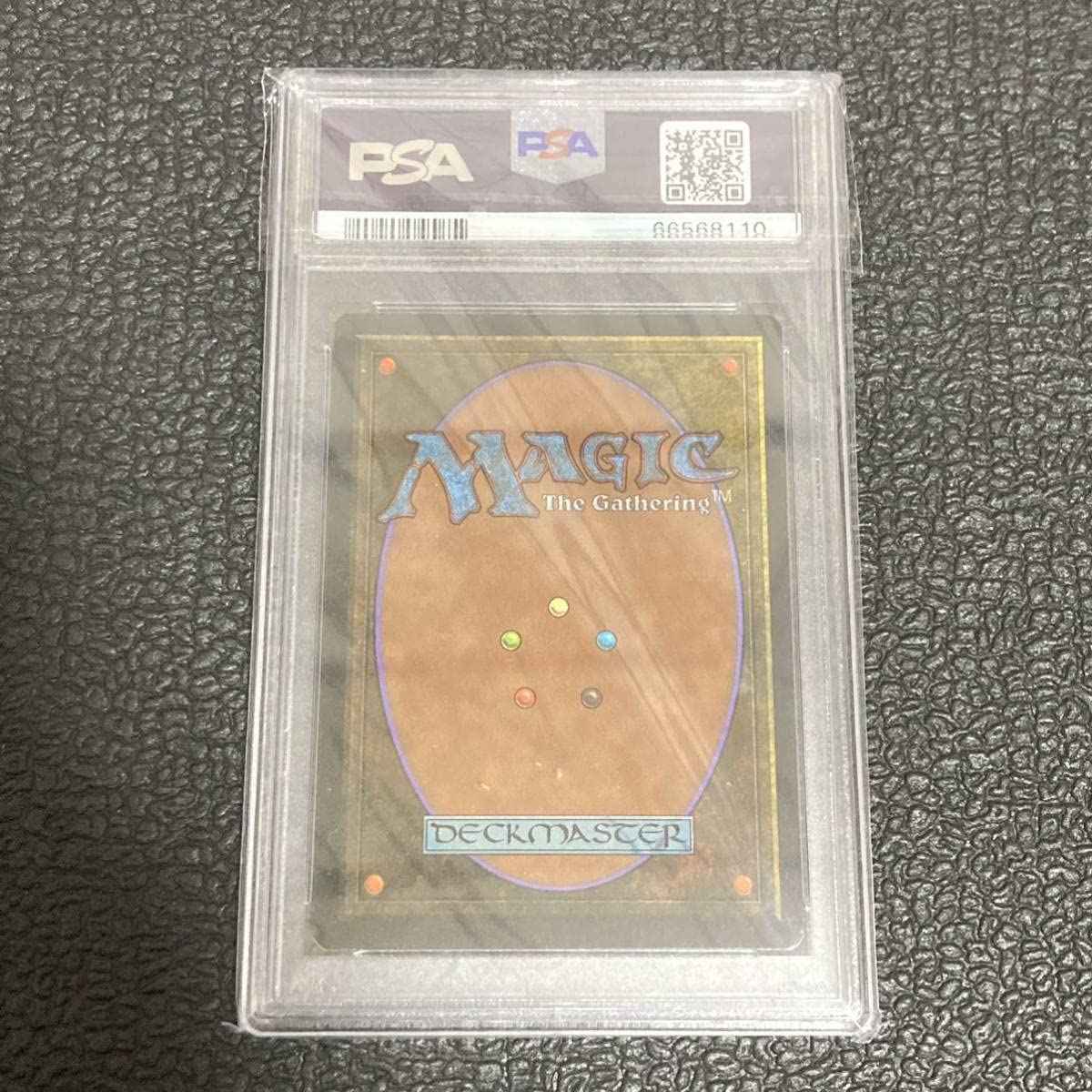 MTG Tropical 英語 リバイズド 3ED MTG Tropical 英語 リバイズド 3ED