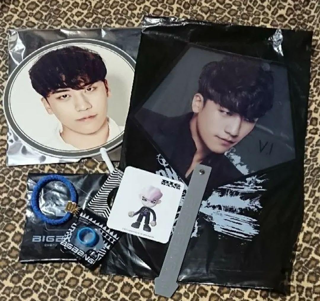 Amazon.co.jp: BIGBANG ビッグバン スンリ すんちゃん VI : おもちゃ