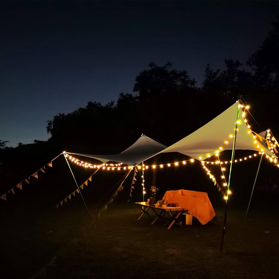 ゴッドタープ 4×4m 黒 TC210g厚手 焚き火OK 遮光性 防水500mm Amazon