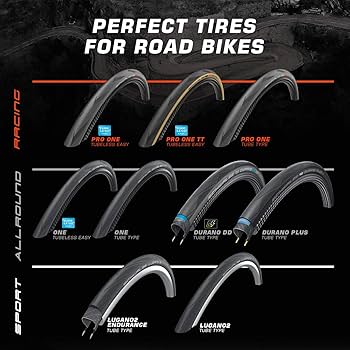 Amazon.com : Schwalbe Pro One Tire - Clincher, Folding Tube Bike