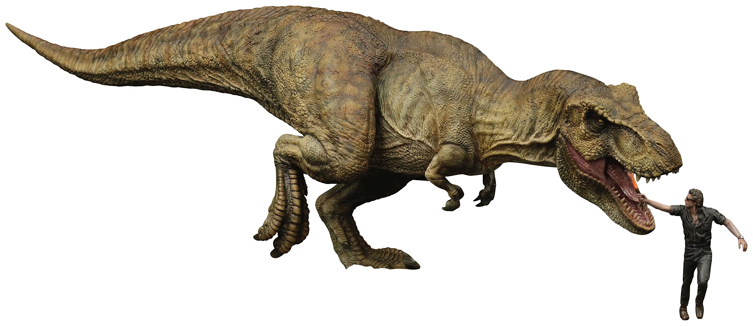 Amazon.com: Jurassic Park: Tyrannosaurus Rex 1:35 Scale Model Kit
