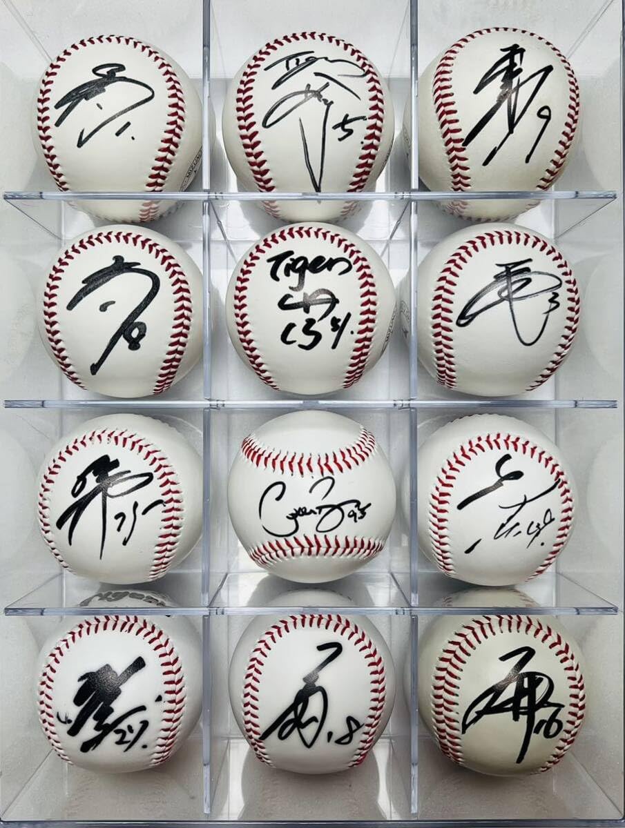 Amazon.co.jp: 阪神タイガース 直筆サインボール 12球セット ラスト1品