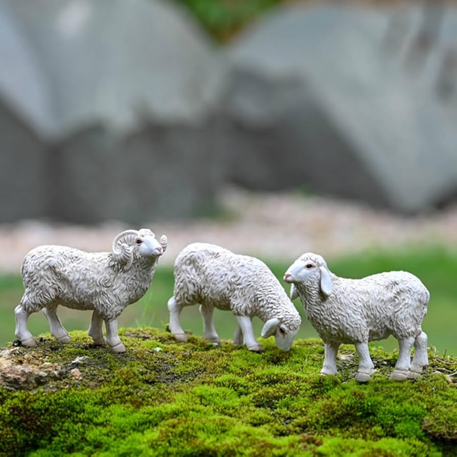 71bbz9M6DcL._AC_UF894,