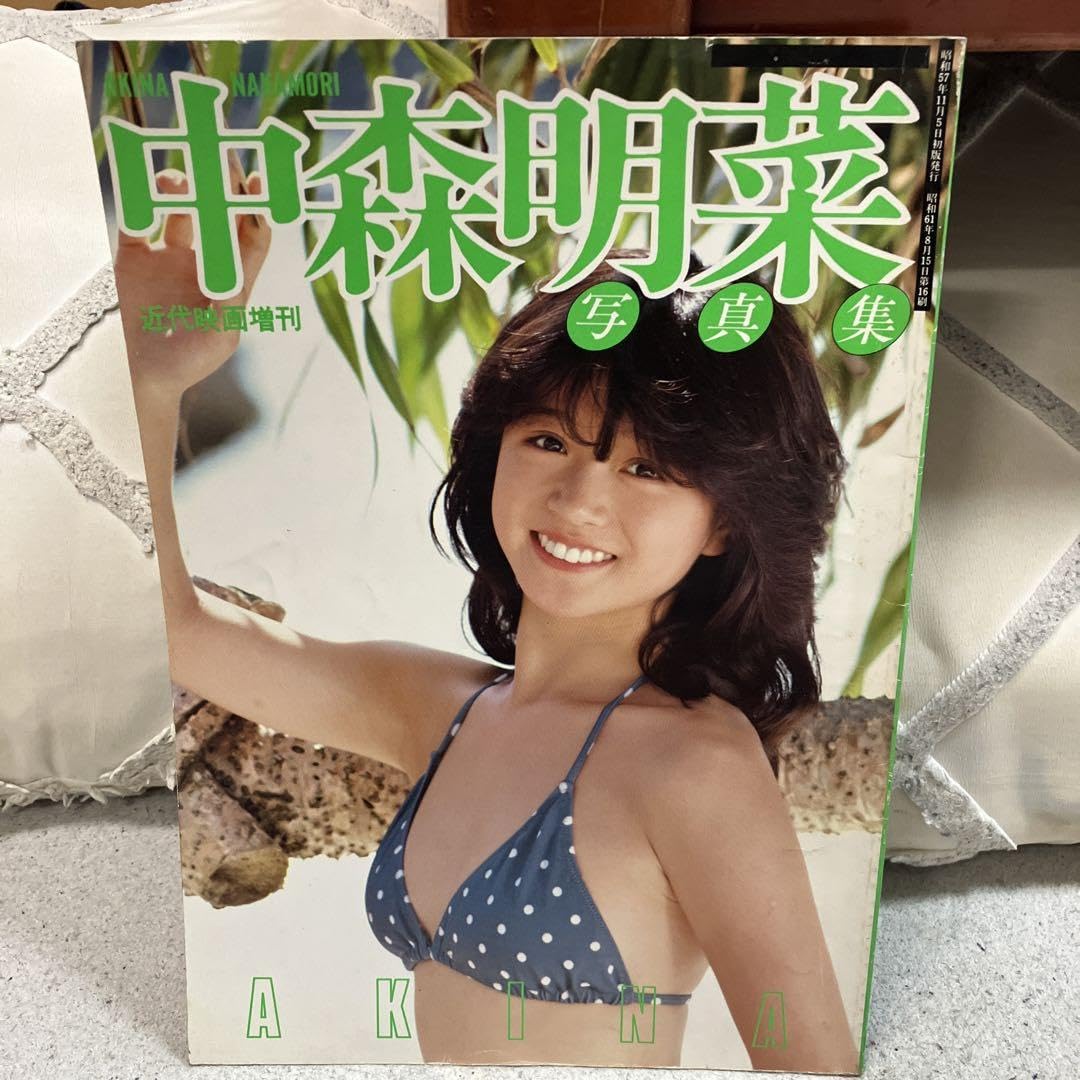 Amazon.co.jp: 中森明菜 写真集 : おもちゃ