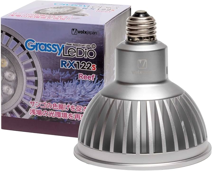 Amazon | ボルクスジャパン グラッシーレディオ RX122s リーフ 銀