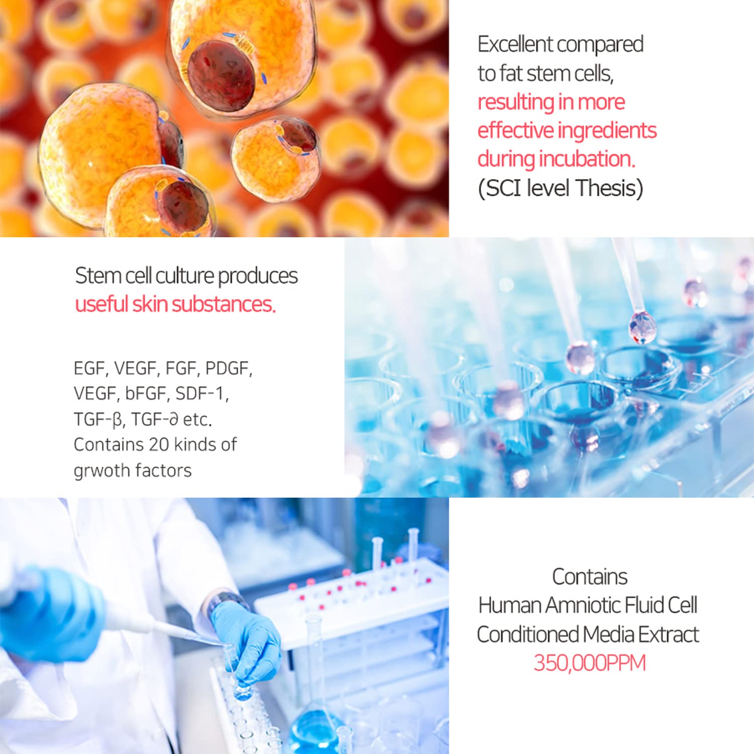 Amazon | BRAVITY ダーマステムセル35プログラム | 乳液・クリーム 通販