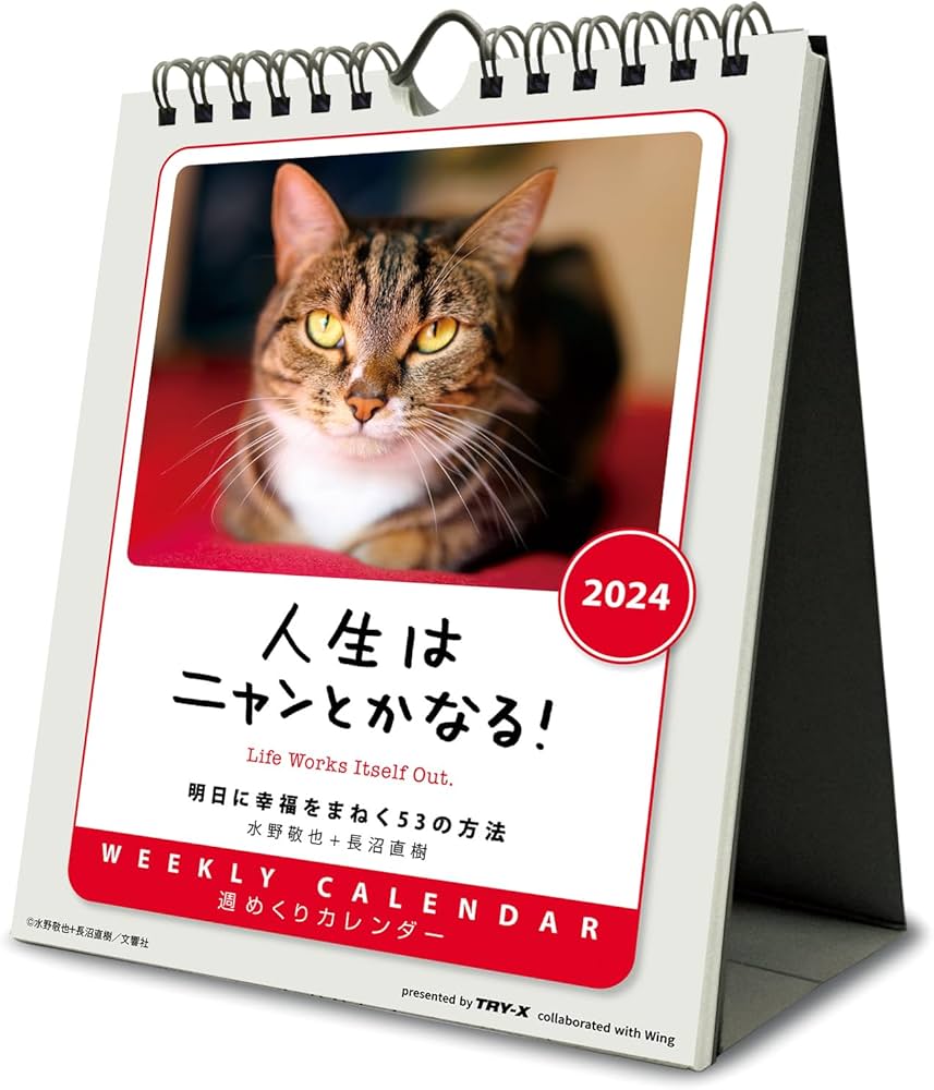 猫の寅 とら 猫の寅 猫の寅 カード検索 ｜ Z/X - Zillions of enemy X -