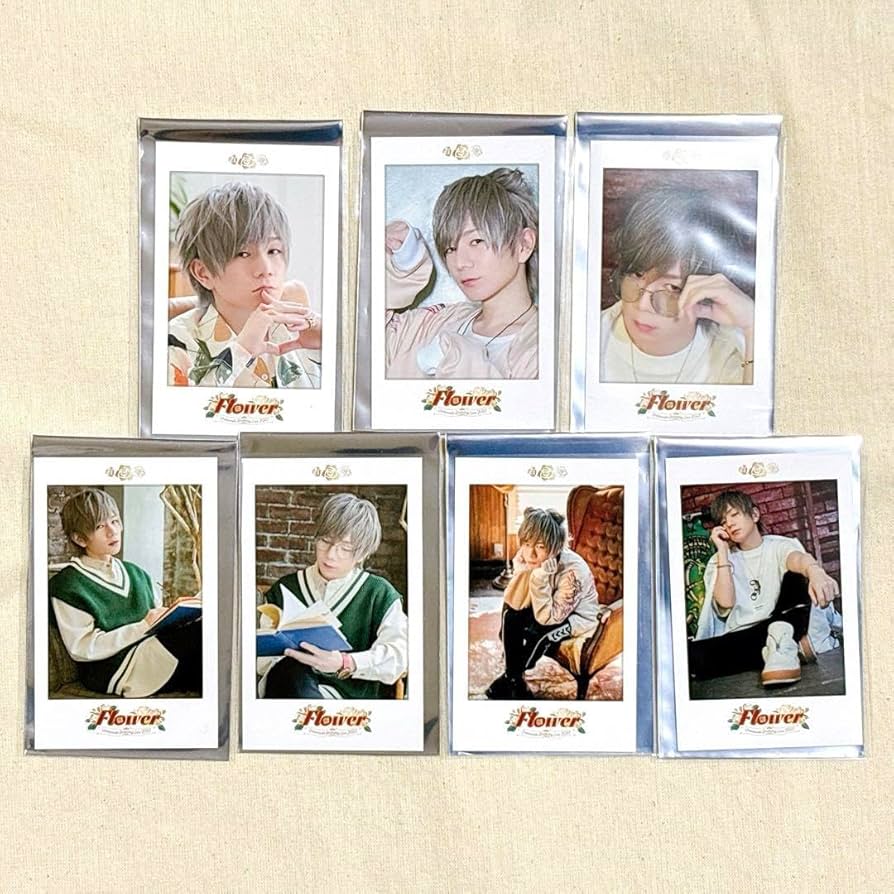 Amazon.co.jp: 浦島坂田船 うらたぬき チェキ風カード 全7種類