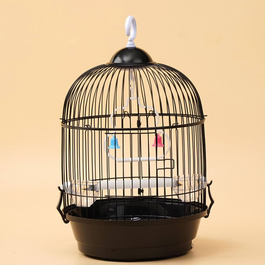 Amazon.co.jp: 鳥籠 鳥かご 鳥ケージ 小さい 鳥小屋 丸バードパレス