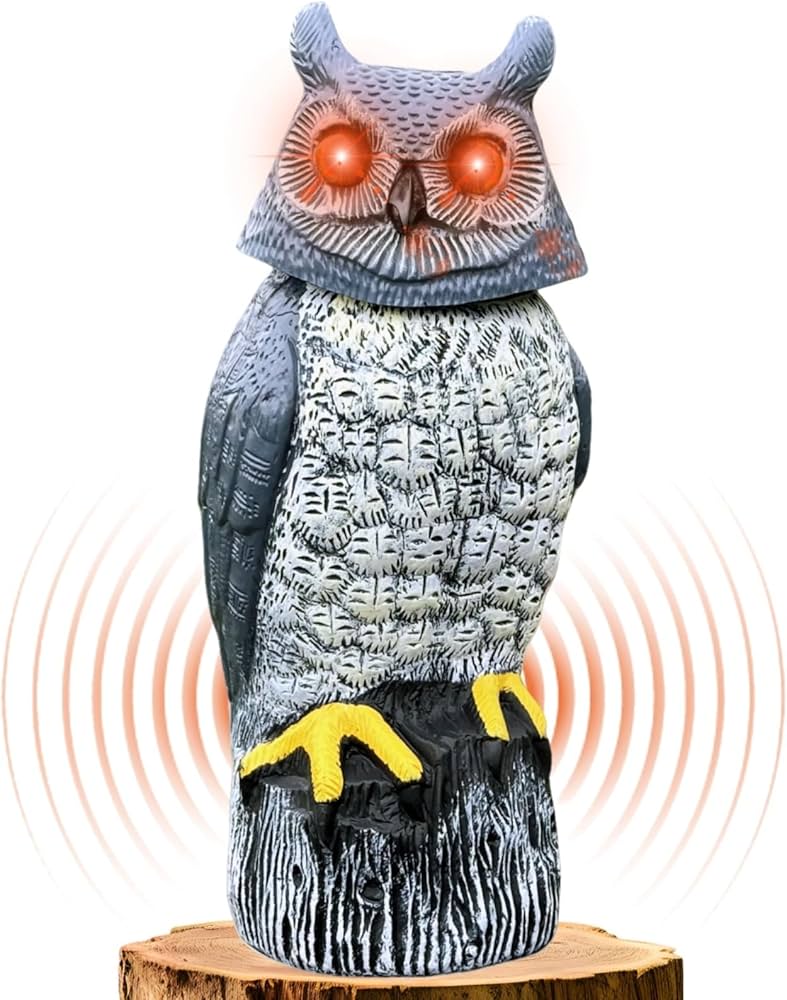 Amazon.com: Ugold Solar Powered Garden Owl with Motion Detection