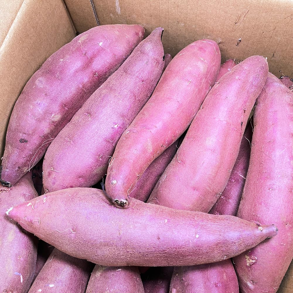 Amazon.co.jp: さつまいも 5kg 紅はるか 茨城県産 18～22本前後 M