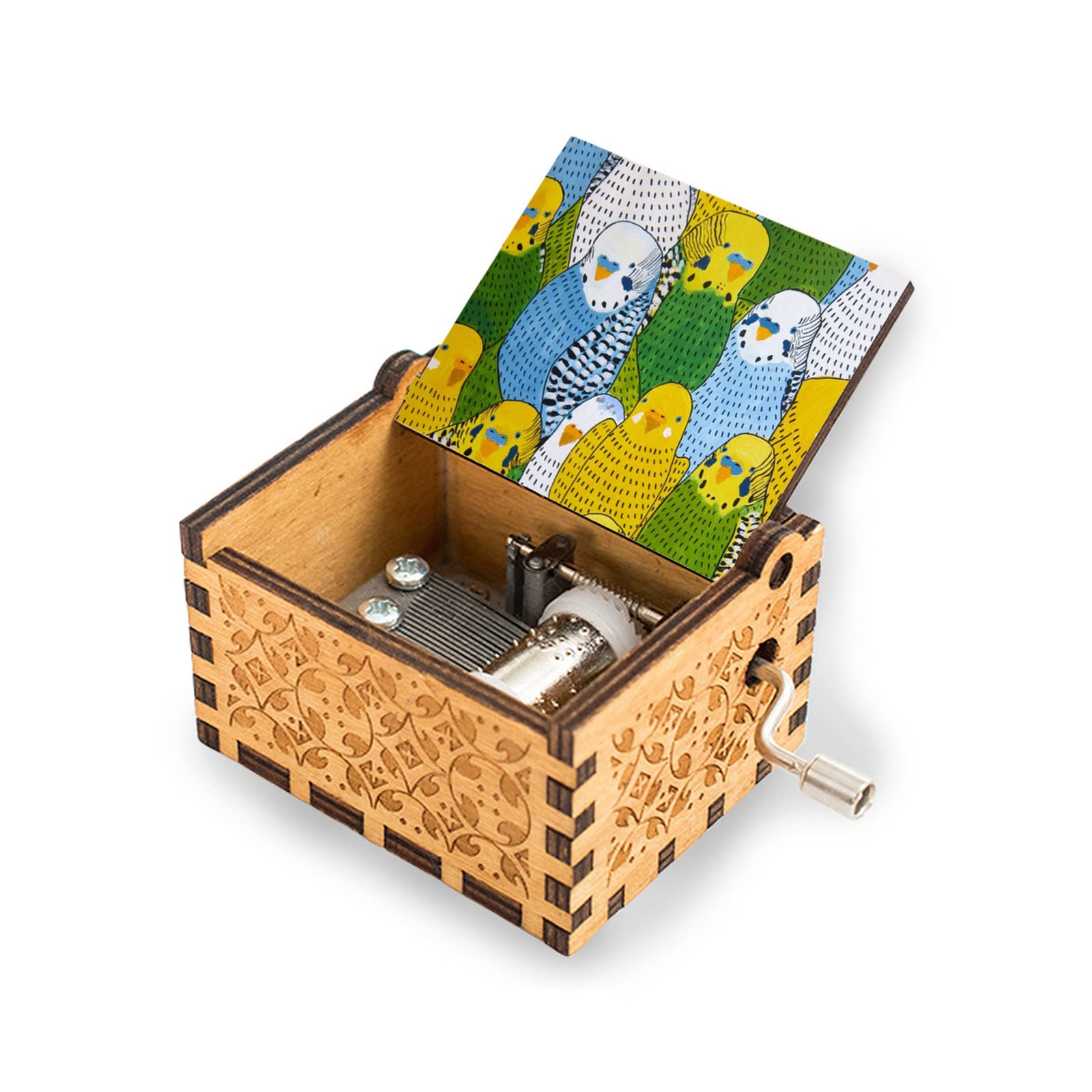 Amazon | 木製 オルゴール インコ おもしろい鳥 カラー ミュージック