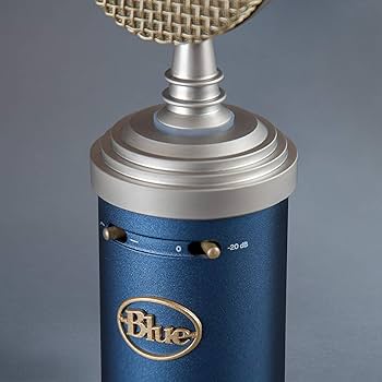 Amazon.com: Blue Microphones Bluebird SL Condenser Microphone