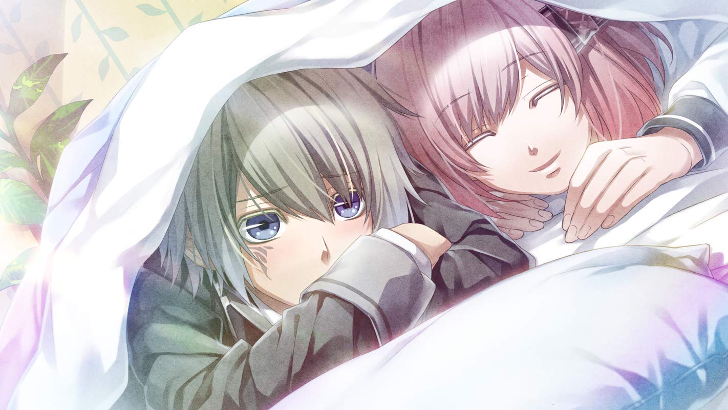 Amazon.co.jp: NORN9 LOFN for Nintendo Switch : ゲーム