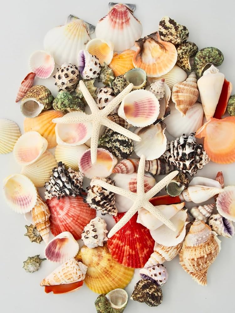 新品・未使用】ハンドメイド海外製 カラフルな魚と貝殻の皿 新品・未使用】